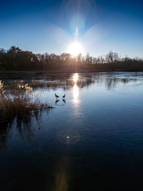 Tranquil winter sunrise over a frozen lake and near a windmill.