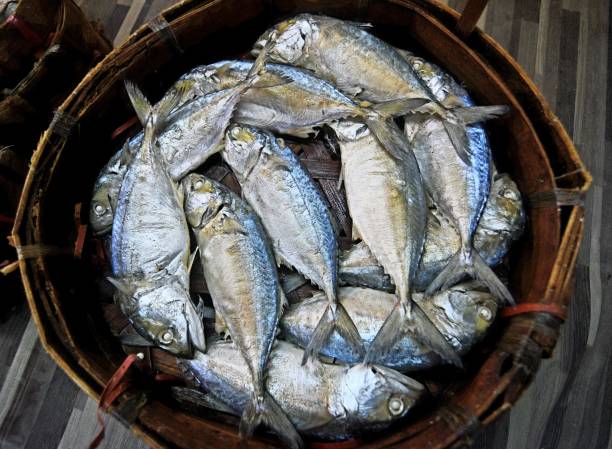 istock Mackerel fish - Bangkok fresh market. 2173344966