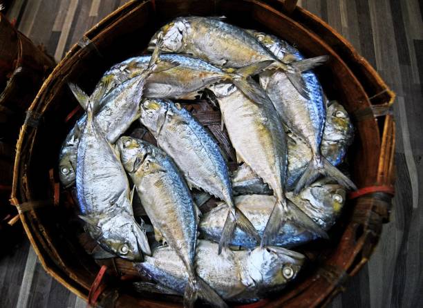 istock Mackerel fish - Bangkok fresh market. 2173344976
