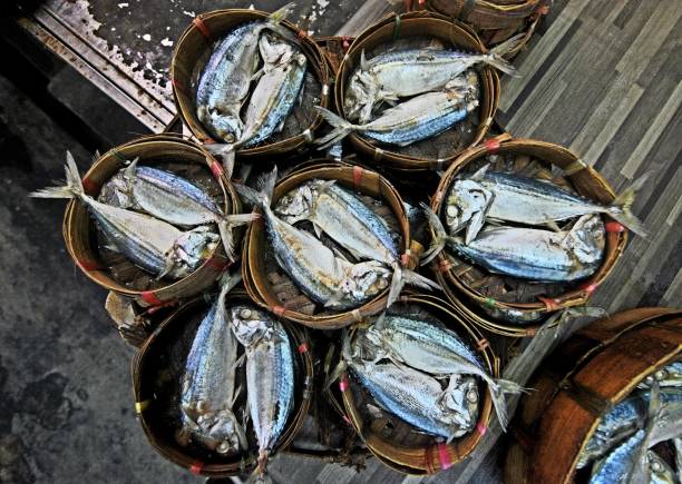 istock Mackerel fish - Bangkok fresh market. 2173345001