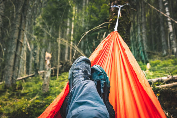 istock Hiking high in the mountains with a hammock, camping in the forest. 2173345290