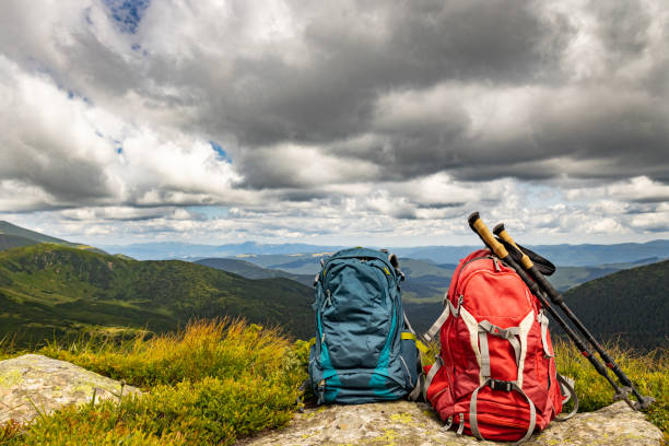 istock Hiking in the mountains with a backpack and walking poles, beautiful scenery. 2173345523