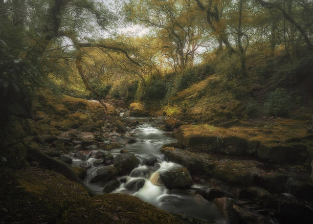 istock River Avon at Norsworthy Bridge, Dartmoor 2173350145