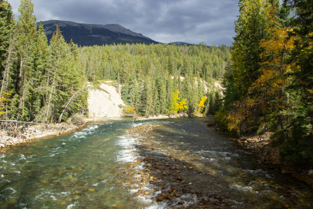 Athabasca River as it passes through Maligne Canyon in autumn, Canada.