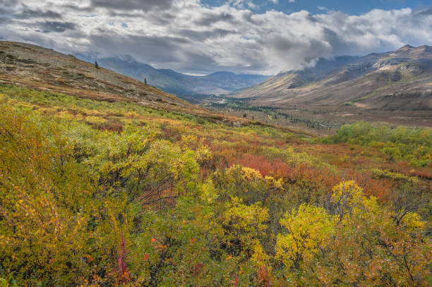 istock North Fork Pass in Tombstone Territorial Park 2173359439
