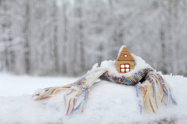 istock cozy winter day at home 2173362305