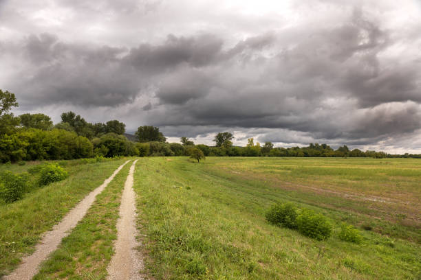 istock Meadow, trees and bushes with a dramatic stormy sky. Climate change concept. 2173368644
