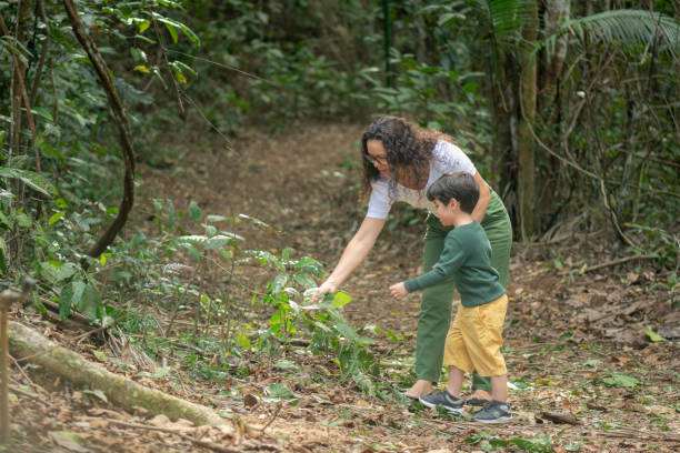 istock Mother and son walking on a trail through the Atlantic Forest. 2173374243