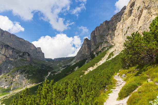 istock Hiking at Colfosco - Col Pradat - Italy 2173375131