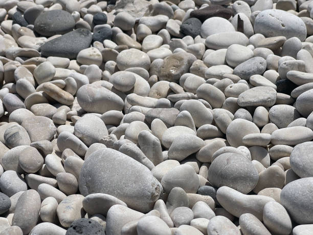 A beautifully detailed closeup view of smooth, round pebbles scattered on a beach