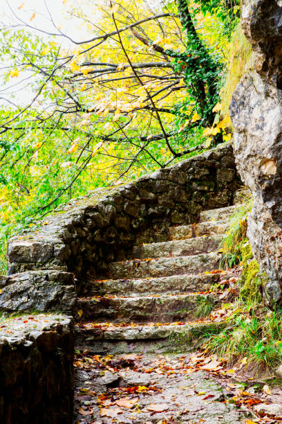 A serene scene of rustic stone steps blanketed with fallen autumn leaves, surrounded by natural forest scenery, evokes a sense of tranquility and seasonal change.