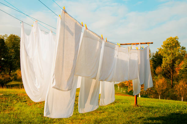 istock Linen hanging on the clothesline and dried 2173384620