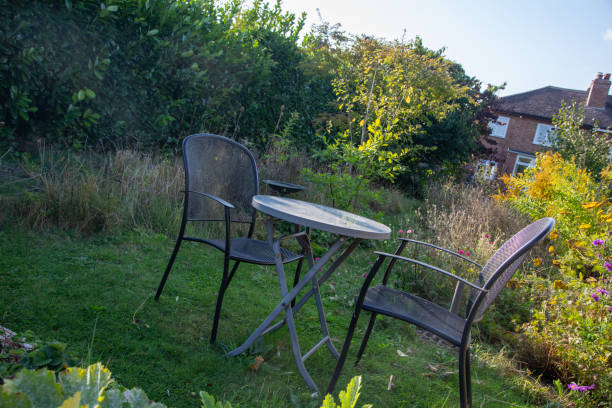 Table and two chairs on grass in messy garden in evening sun, with brick house behind