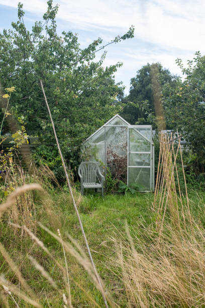 Unused greenhouse with chair, surrounded by long grass and overgrown trees