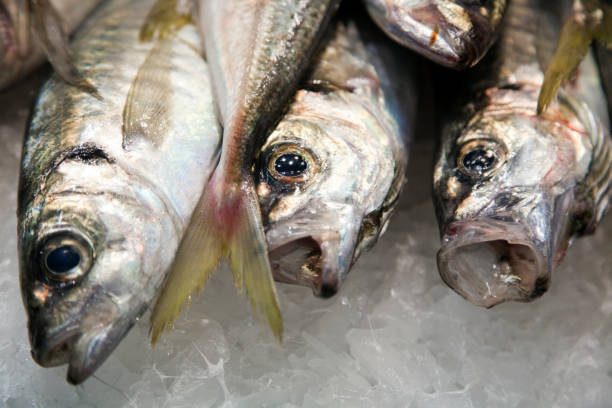istock Fresh Jureles on Display at Barcelonas Mercat De La Boqueria 2173390174