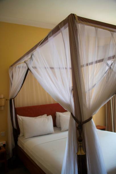 istock Bedroom in Africa 2173390564