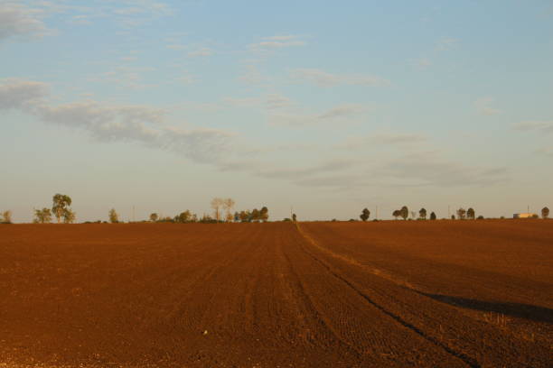 Tranquil rural landscape in springtime.