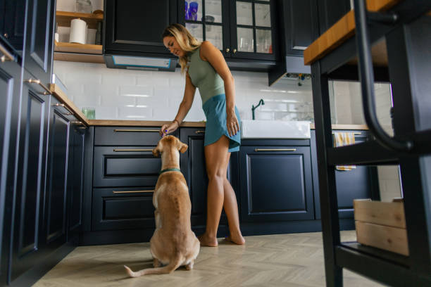 istock Woman and her dog in the kitchen 2173396002