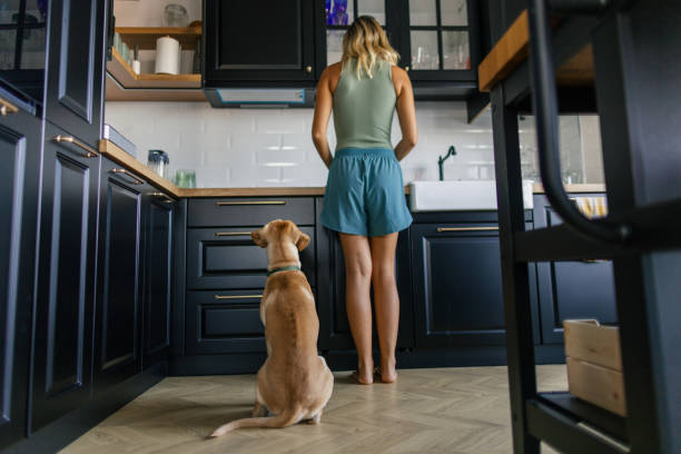 istock Woman and her dog in the kitchen 2173396007