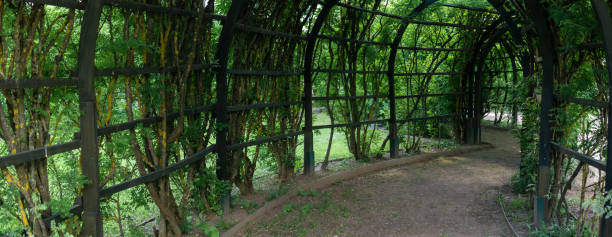istock view from inside a shady pergola in a park 2173398656