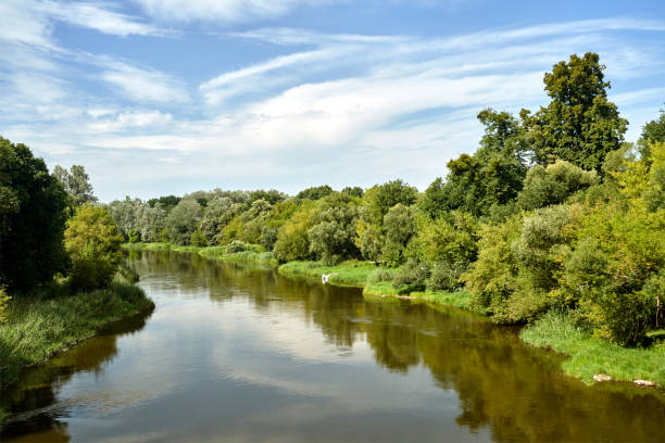 istock rural landscape with the Warta river and forest during summer 2173402803