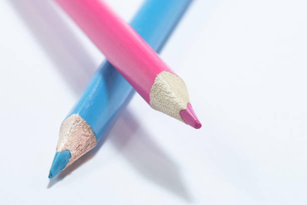 Top view of various wooden colored pencils arranged side by side on white background