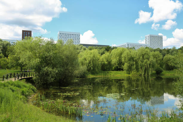 istock city pond in summer 2173407864