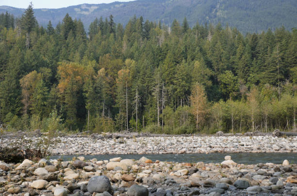 istock Chilliwack River in Chilliwack, British Columbia 2173409283