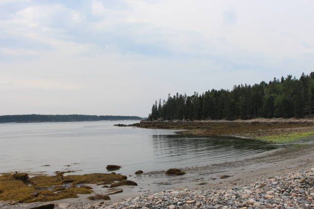 istock Forest Meets Ocean in Acadia 2173412484