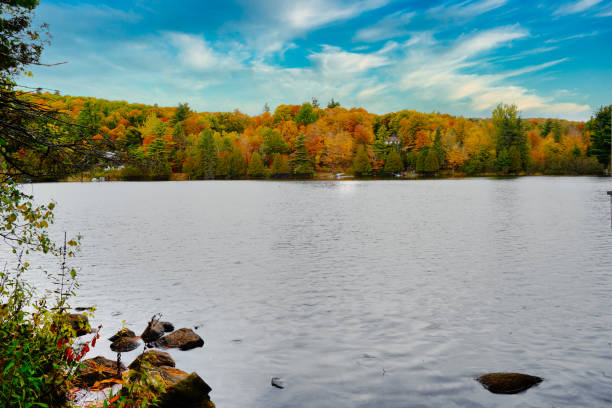 Scenic Kingsmere Lake in an autumnal setting in Fall season with full range of orange,red,yellow coloured leaves of the boreal forests seen here at Mackenzie King Estate in Gatineau Park,Quebec,Canada