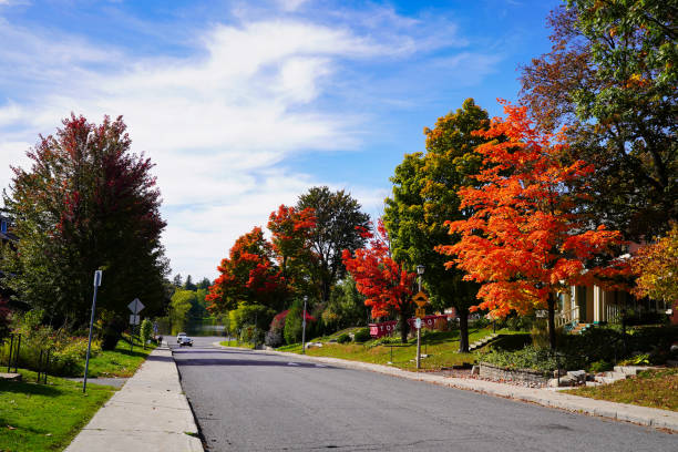 istock Fall season in Ottawa,Ontario,Canada 2173421022