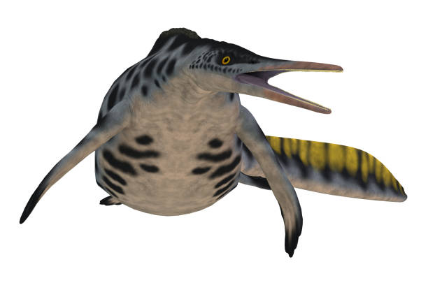 istock Hupehsuchus Marine Reptile 2173421854