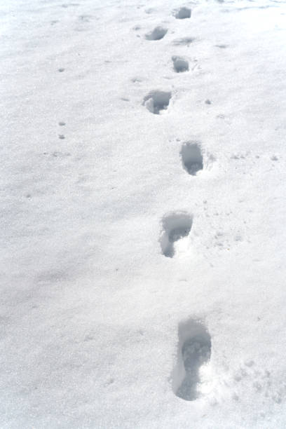 istock human footprints on the snow as background 2173421887