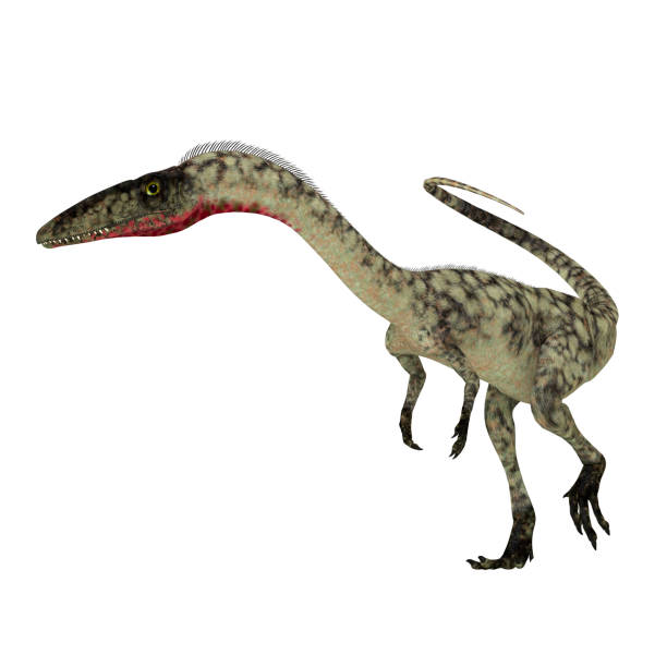 Plastic dinosaur toys on yellow background