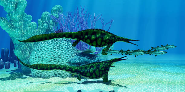 istock Hupehsuchus Marine Reptiles Undersea 2173422009