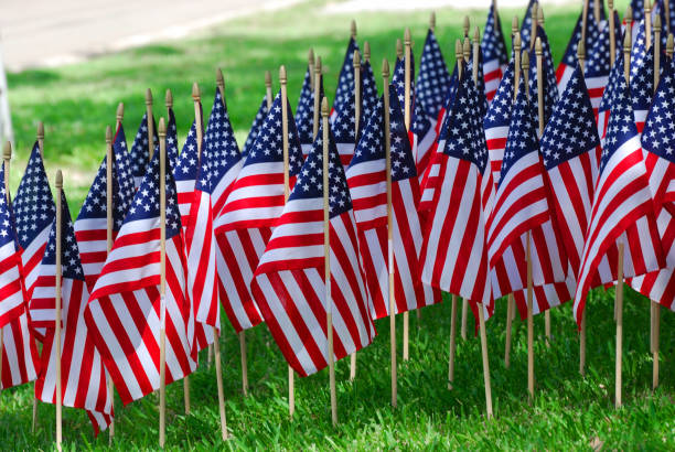 istock groups of USA flags on the meadow 2173422171