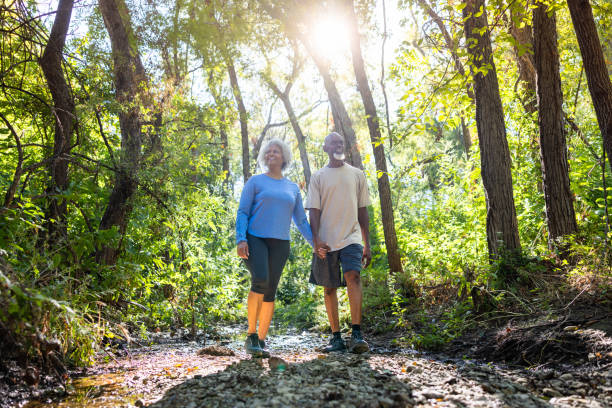 Free Stock Photo of Two People Walking Down a Trail in the Woods ...