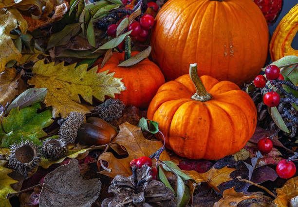 Autumn still life with leaves and pimpkins