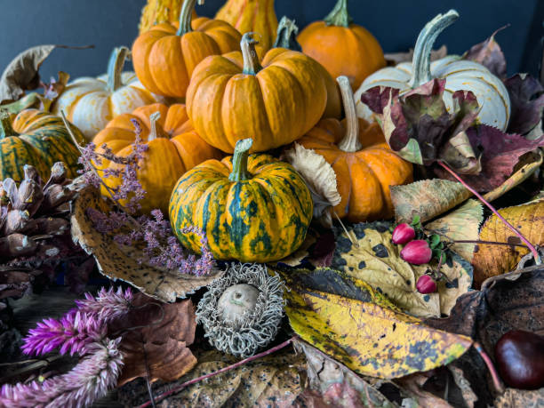 istock Autumn still life, pumpkins 2173427606
