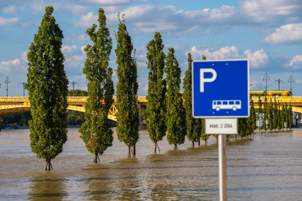 Budapest, Hungary - September 19, 2024: Submerged Trees Along the Danube River as Budapest Faces Flooding After Storm 'Boris'.