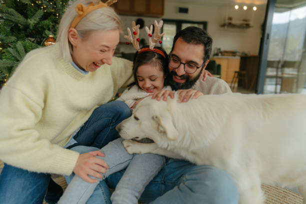 istock Christmas day in our house 2173437329