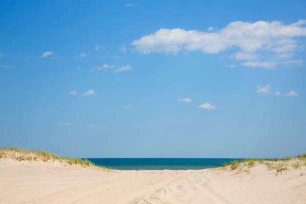 USA , New York,  long Island , East Hampton beach.