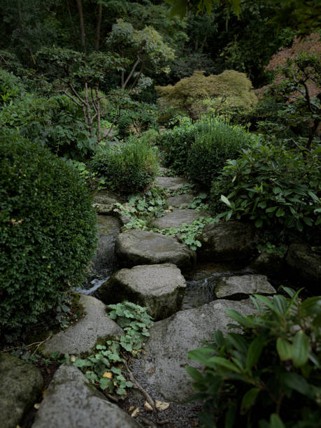 istock Dark Moody Japanese Garden 2173442252