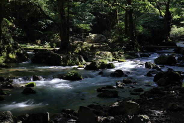istock Odamiyama Valley, Sunlight filtering through the trees into the clear stream (Ehime Prefecture) 2173444715
