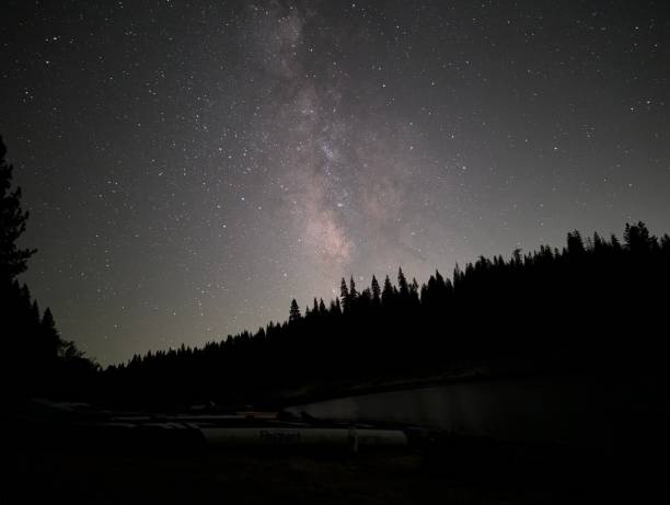 istock Starry night in El Dorado National Forest 2173446824