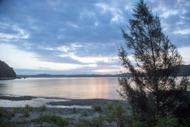 istock Amami Sea Inlet 2173455120