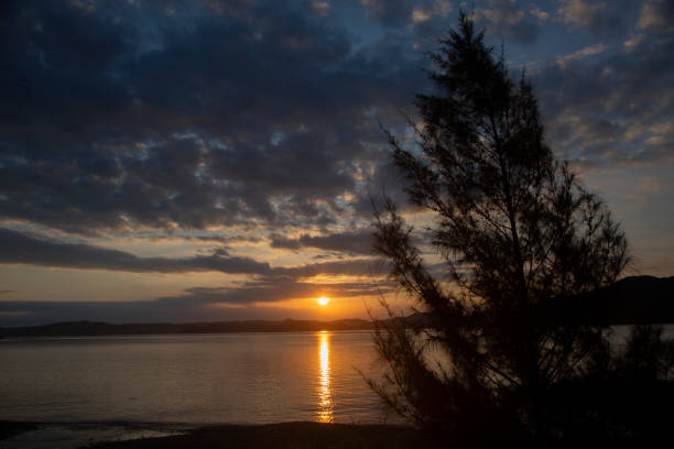 istock Amami Sea Inlet 2173455134