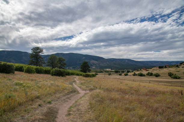istock Open space land previously a ranch in the Rocky Mountains 2173455868