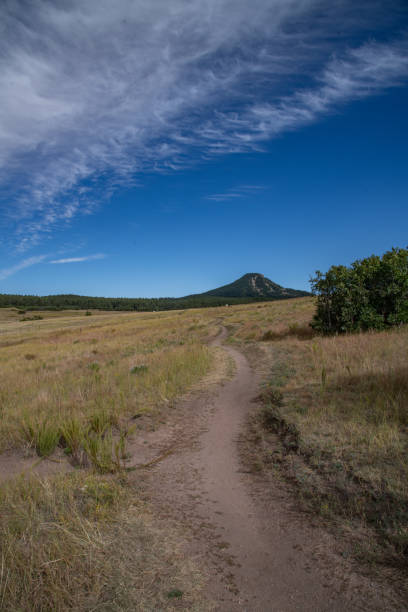 istock Open space land previously a ranch in the Rocky Mountains 2173455922