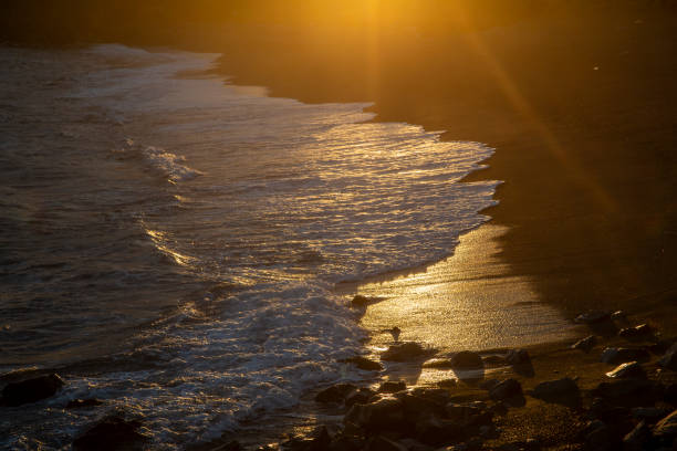Sunrise on Amami Oshima